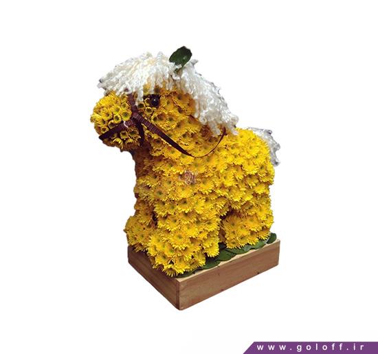 وب سایت خرید گل - سبد گل زایمان فلسی - Flower Toy | گل آف
